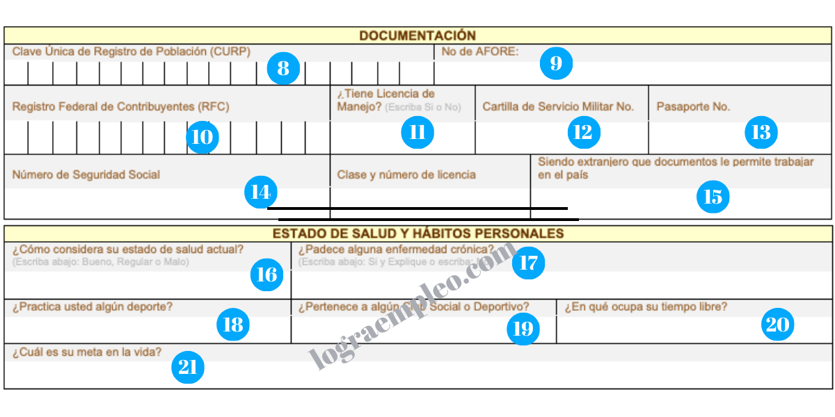 Cómo Llenar Una Solicitud De Empleo 【2024】 Logra Empleo 8358